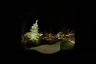 DSC_0023 (Large).JPG